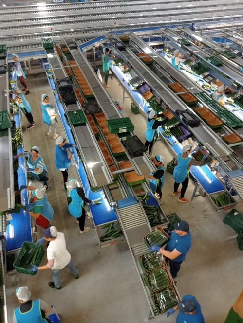 La reconstrucción ha supuesto una inversión de cerca de 37 millones de euros