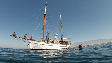 Visita con Life + Posidonia a los fondos del mar en Punta Entinas para concienciar sobre la conservación de las praderas marinas
