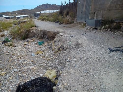 El Partido Popular de Dalías exige que se arregle el camino de la rambla de Almecete de la localidad