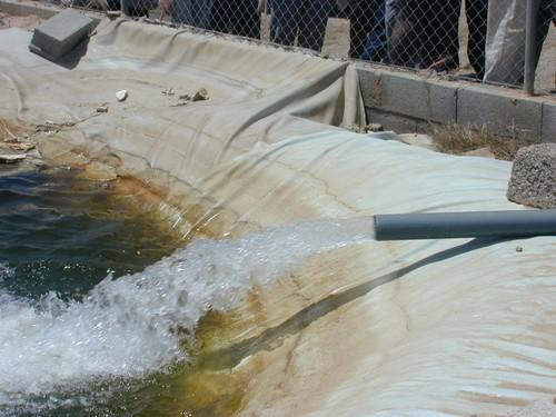 Los agricultores de Berja, preocupados porque la fuente de Alcaudique se ha secado de nuevo