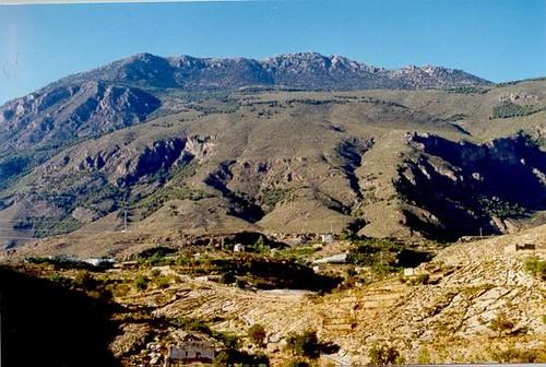 Controlado el incendio que se ha desatado esta mañana en la Sierra de Gádor