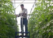 Sube el paro en Almería en 426 personas