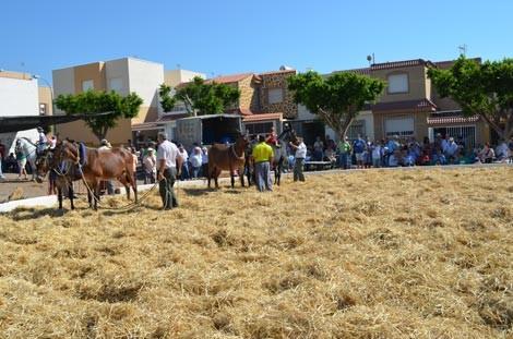 Santa María del Águila celebra este fin de semana el ‘IV Encuentro de Trilla’ con actividades tradicionales