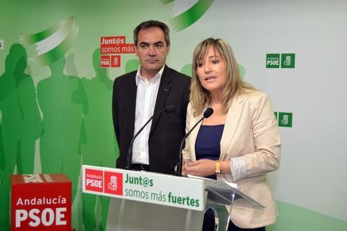 El PSOE plantea a Amat nuevas preguntas sobre la obra de Hispano Almería en Berja