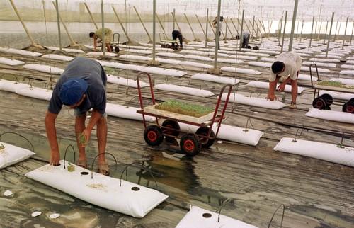 348 almerienses más pasaron a engrosar las listas del paro en septiembre