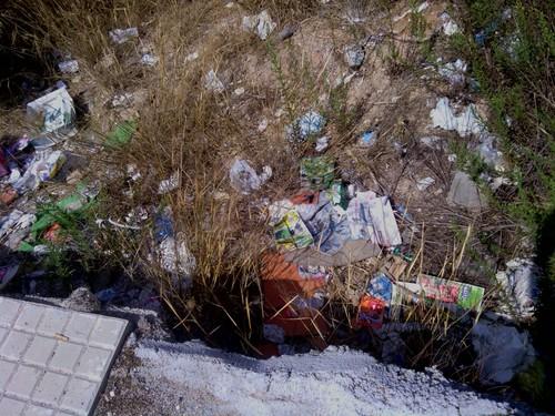 Izquierda Unida urge al equipo de Gobierno a mejorar la seguridad y aspecto de los solares de El Ejido