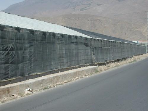 Izquierda Unida de Vícar pide la convocatoria del Consejo Local Agrario, que no se ha reunido en toda la legislatura