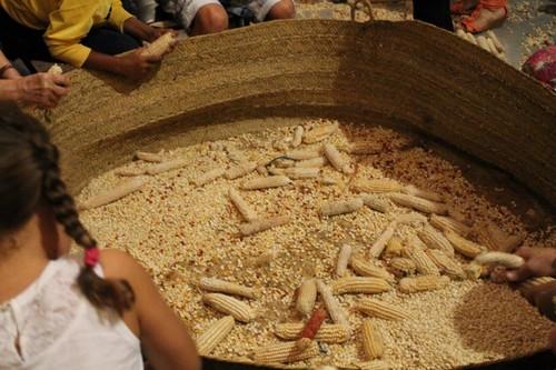 Adra vuelve a revivir el tradicional desgranijo de San Marcos