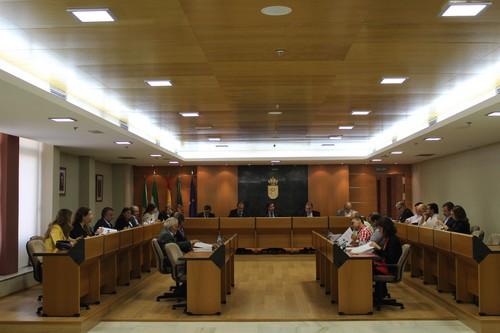 Instan a la Consejería de Turismo y Comercio a eliminar las limitaciones temporales impuestas al pequeño comercio local