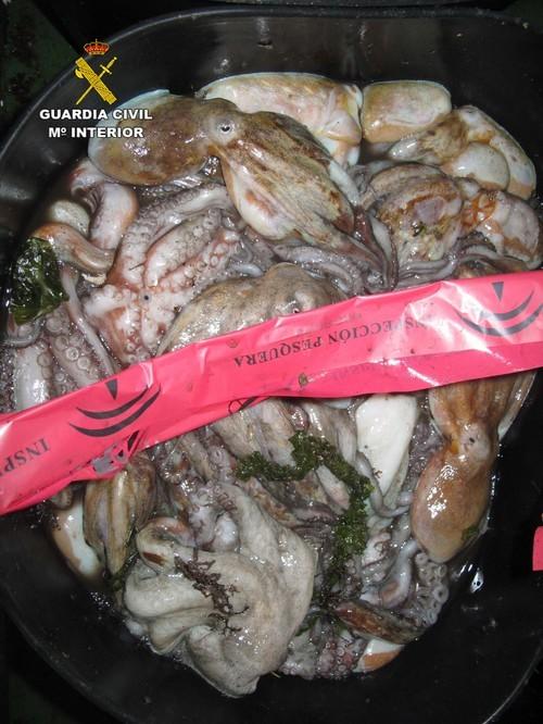 La Guardia Civil interviene más de 34 kilos de mejillones y 172 kilos pulpo en el Puerto de Adra