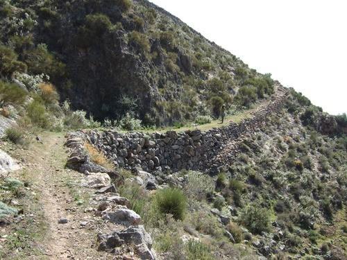 El IMD arranca el programa de Medio Ambiente y Naturaleza con una ruta por la rambla Los Yesos y Cordel el próximo domingo