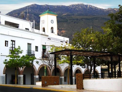 El Ayuntamiento de Dalías contratará a 11 jóvenes desempleados en el marco del Programa Emple@ Joven