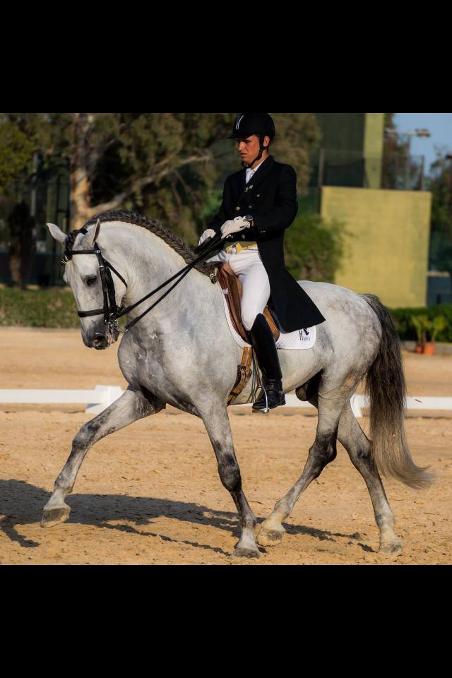 “La compenetración entre caballo y jinete solo se logra con trabajo diario”