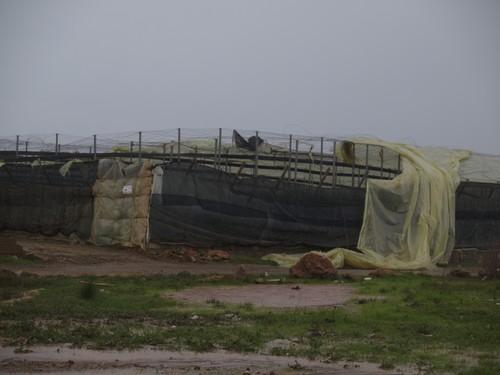 El Poniente almeriense entrará en alerta naranja el martes por rachas de viento de hasta 100 kilómetros por hora