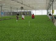 El paro baja en Almería en más de 4.300 personas