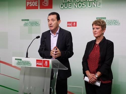 El PSOE presenta 31 enmiendas a los Presupuestos Generales del PP para atender las verdaderas necesidades de Almería