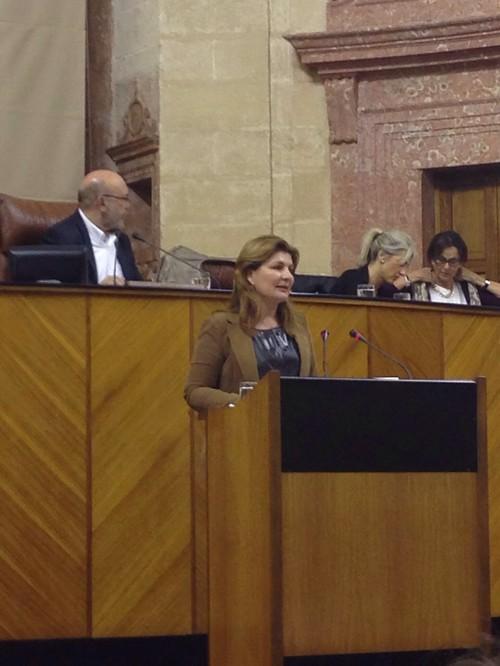 La Junta asesta un “duro golpe” a la sanidad almeriense al negarle de nuevo “inversiones prioritarias”, según el PP