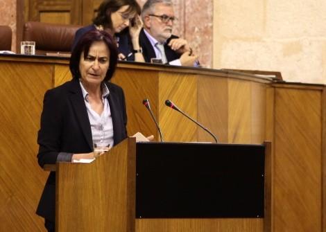 Rosalía Martín: “Hoy Roquetas no tiene un hospital por culpa de los chanchullos urbanísticos de Gabriel Amat”