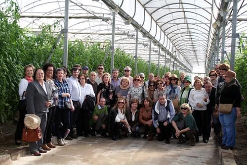 La 25º Ruta de Coches Antiguos descubre los invernaderos de vanguardia de El Ejido
