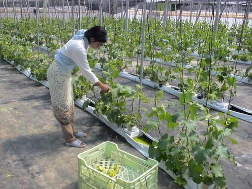 Crece un 2% el número de autónomos en El Ejido hasta octubre