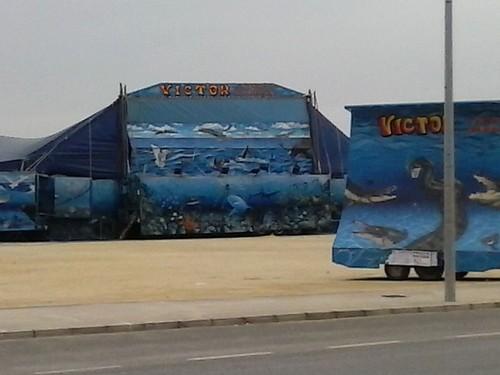 Equinac denuncia la instalación en El Ejido del espectáculo con animales ‘Víctor, el espectáculo de las maravillas’