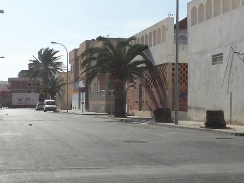 El PAL exige al equipo de Gobierno que deje de cortar las palmeras afectadas por el picudo rojo en Balerma y dé una digna solución para atajar esta plaga