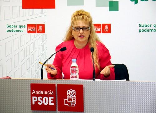 El PSOE presentará mociones en los ayuntamientos para que no se corte la luz en invierno a las familias en situación precaria