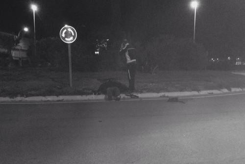 Un motorista sufre un accidente en una rotonda del Paraje El Treinta