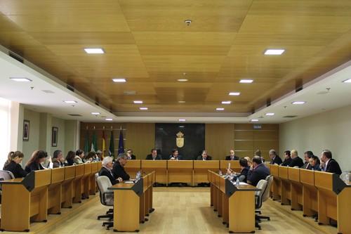 El Ejido iniciará el año con los Presupuestos de 2015 aprobados y operativos y haciendo frente a una demanda de Endesa