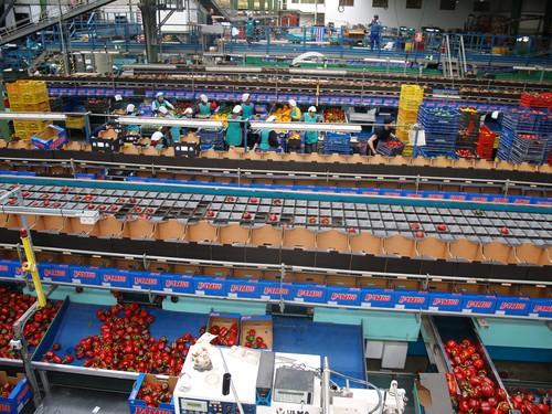 Un total de 1.734 almerienses encontró un empleo en diciembre