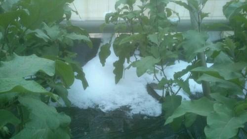 El Ayuntamiento adelanta las obras previstas en San Agustín ante los graves destrozos que ha ocasionado el granizo