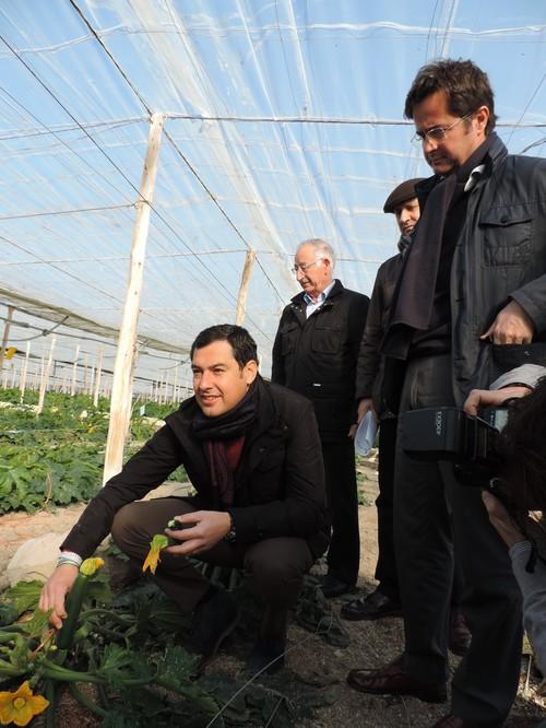 Juanma Moreno pide responsabilidad a la Junta y exige agilidad por el bien de los agricultores almerienses
