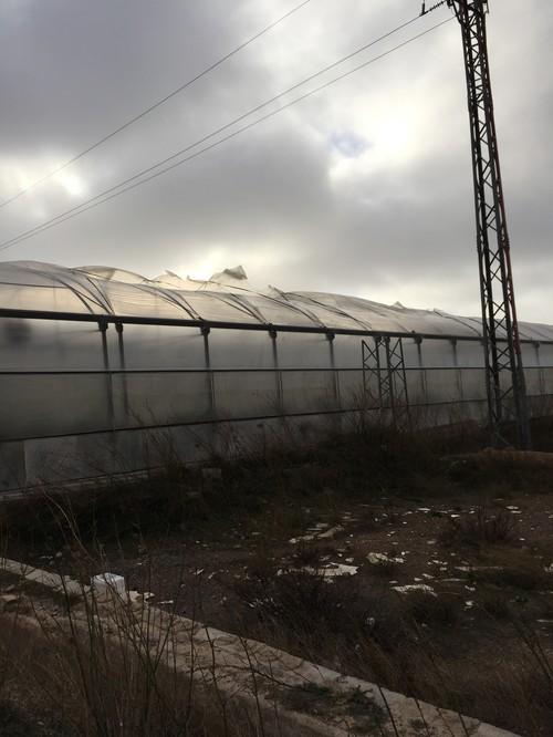 Un poste de luz cae encima de un coche a causa de las fuertes rachas de viento en El Ejido