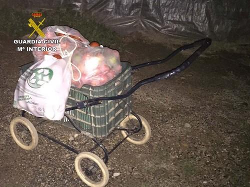 La Guardia Civil detiene a los autores del robo de tomates en una explotación agrícola en El Ejido