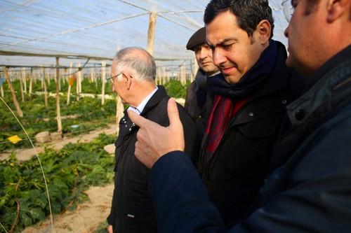 El alcalde de El Ejido exige que las ayudas anunciadas por la Junta para paliar los daños causados por el granizo lleguen cuanto antes