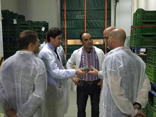 Góngora visita a las instalaciones de la cooperativa Cohorsan, referente en pepino y calabacín y líder en producción de variedades snack