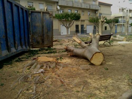 El Partido de Almería denuncia el destrozo medioambiental que está realizando el Partido Popular en El Ejido