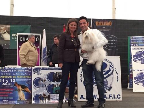 Más de 300 perros participaron en la ‘III Exposición Canina Nacional e Internacional’ y el ‘Campeonato del Mediterráneo’