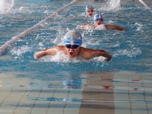 Más de 200 nadadores participan en el VI Trofeo de Natación San Isidro