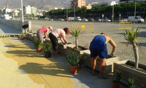 Los usuarios del Centro Ocupacional cultivan más de 1.000 plantas ornamentales