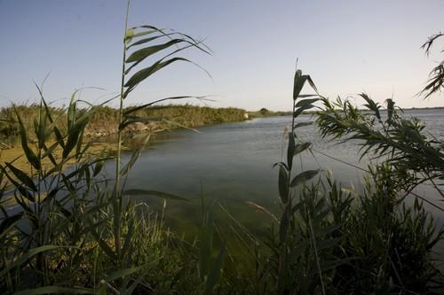 Adra cuenta con uno de los humedales más importantes del mundo catalogado como Zona de Especial Protección para las Aves