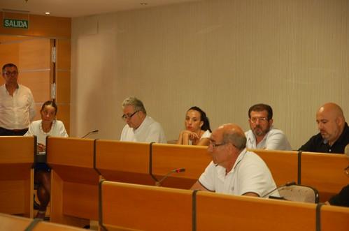 Dimite el concejal de UPyD Francisco Fernández