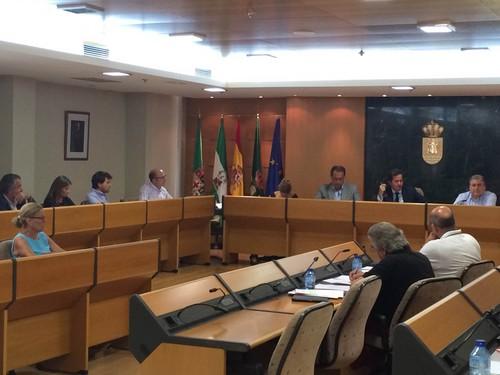 Aprobada por unanimidad la moción del PSOE para el apoyo a la protección social de la fibromialgia
