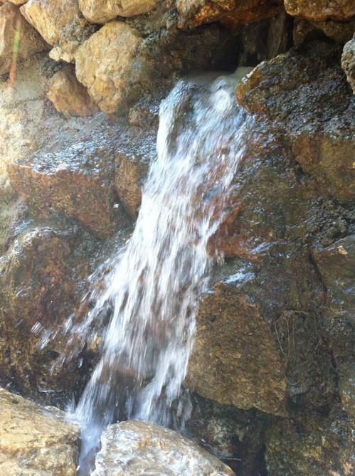 El Ayuntamiento de Dalías consigue aumentar el caudal del Arroyo de Celín con la limpieza del manantial