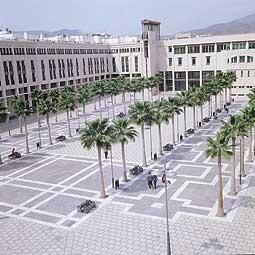 La Junta de Gobierno da luz verde al gasto de 26.000 euros dirigidos a cubrir  algunas  de las necesidades más básicas de familias ejidenses