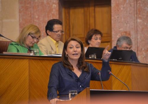 El PP pide a la Junta un Decreto de ayudas para los afectados por las inundaciones y la limpieza y encauzamiento de ríos y ramblas