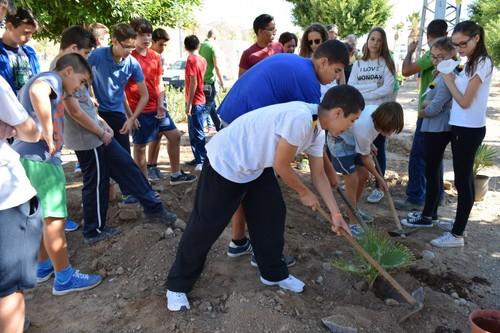 Vícar y Koppert celebran el Día Mundial de Hábitat y el Ecosistema con una plantación de palmeras en el Bulevar de la Paz