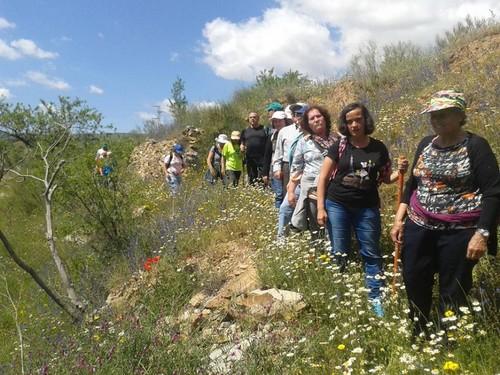 Una salida senderista urbana entre el Castillo de Guardias Viejas y Balerma abre la X Olimpiada de Mayores de Vícar