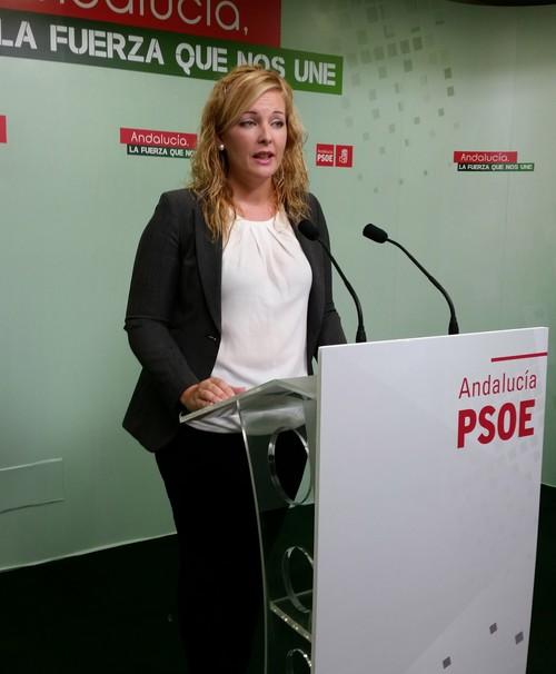 El PSOE denuncia que el Ayuntamiento de Adra deberá pagar 300.000 euros por unas calderas que “han desaparecido” de la piscina
