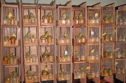 Adra celebra un Concurso Nacional de Canto Timbrado Español